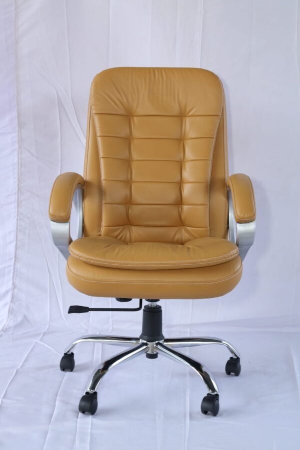 Leather-Clad Leisure Chair